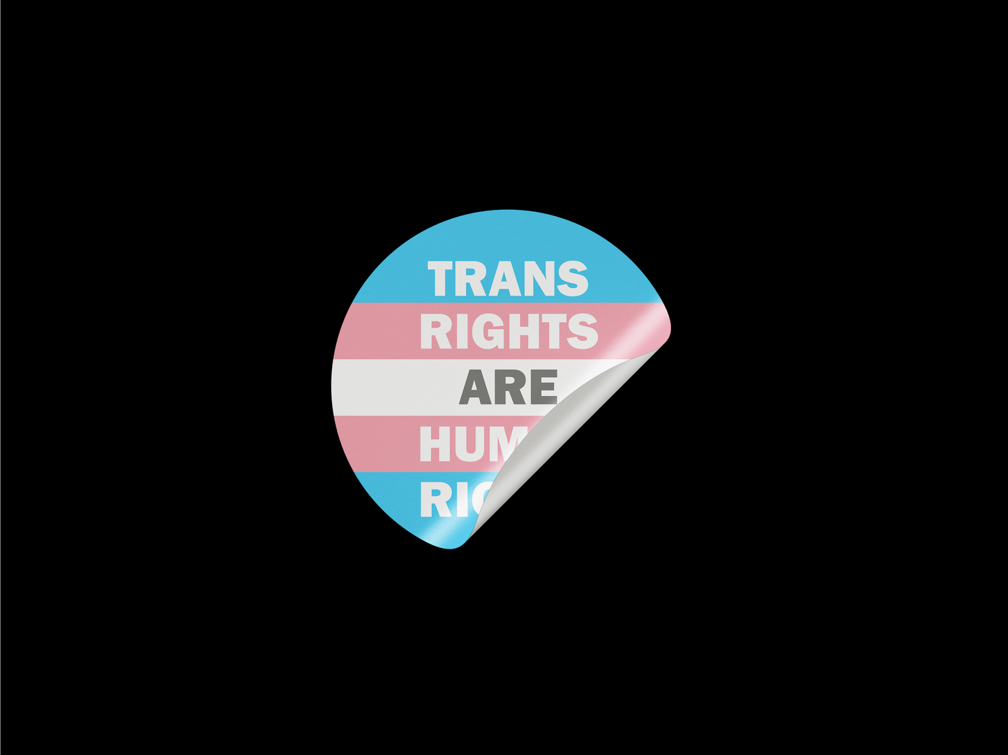 Trans Rights Are Human Rights Stickers