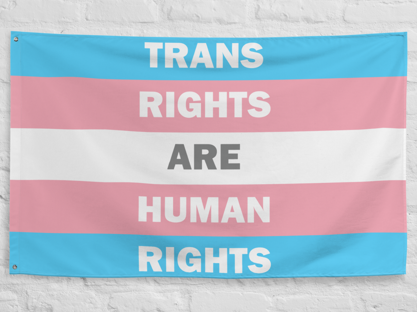 Trans Rights Are Human Rights Flag