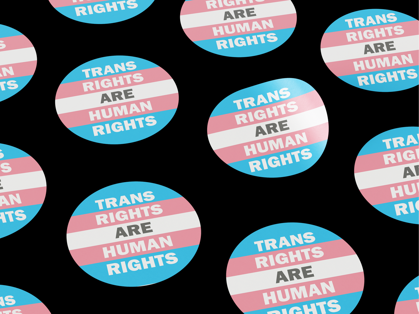 Trans Rights Are Human Rights Stickers
