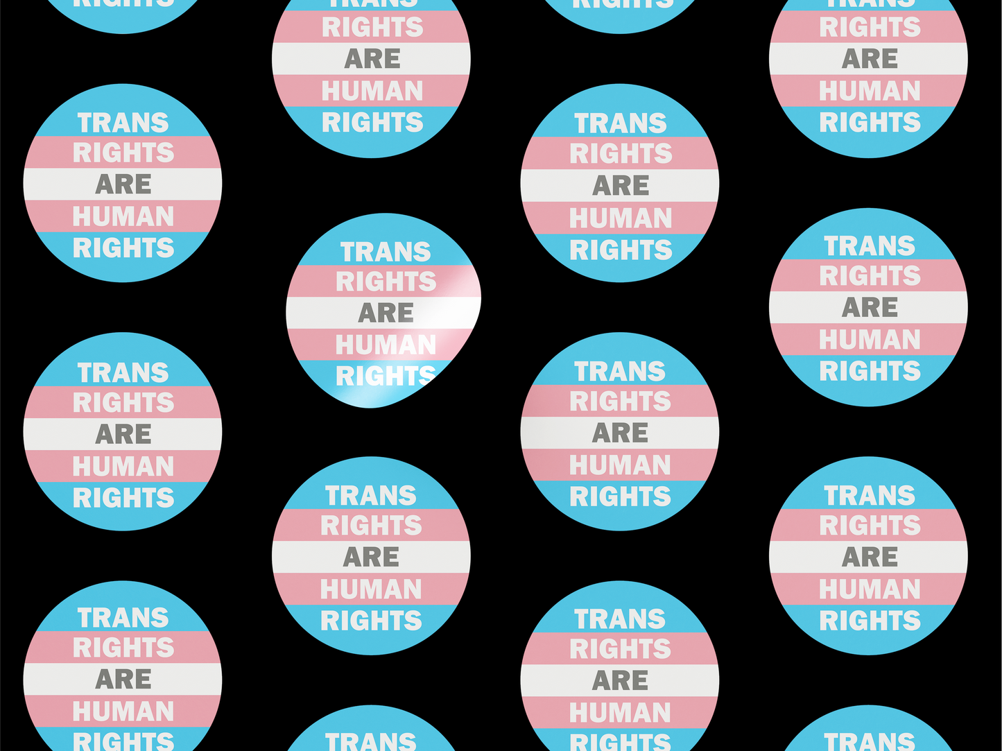 Trans Rights Are Human Rights Stickers