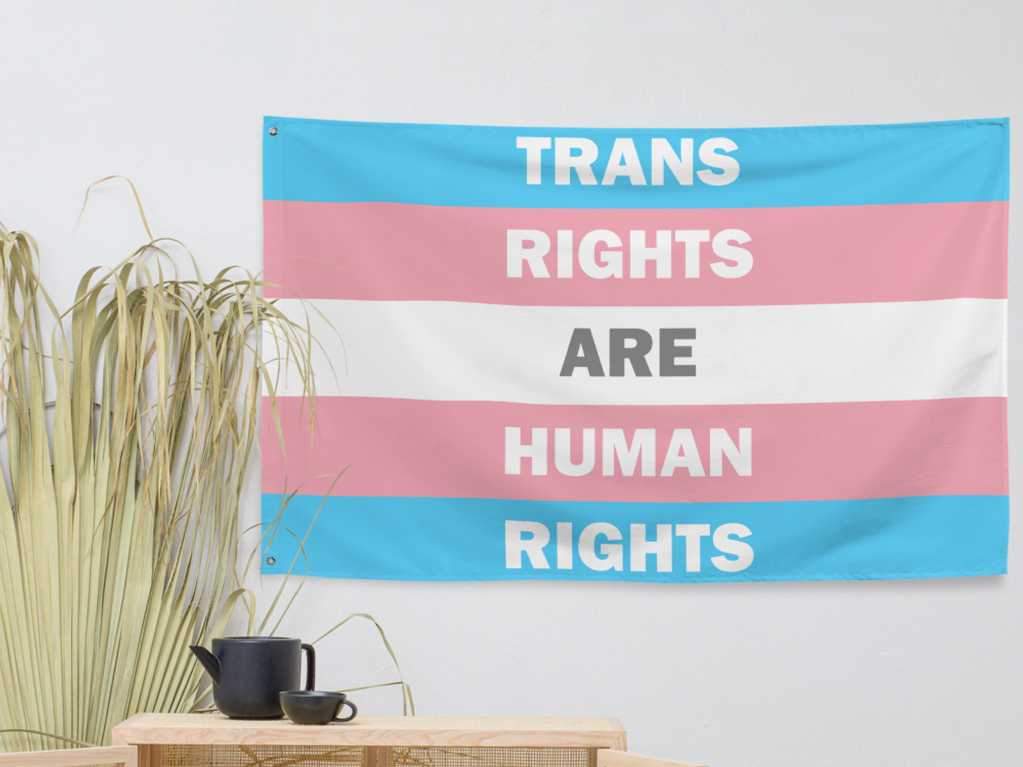 Trans Rights Are Human Rights Flag